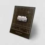 Pin Villa Savoye | Blanco y Negro - Imagen 2